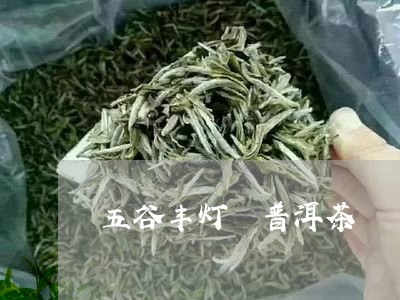 五谷丰灯 普洱茶/2023033156260